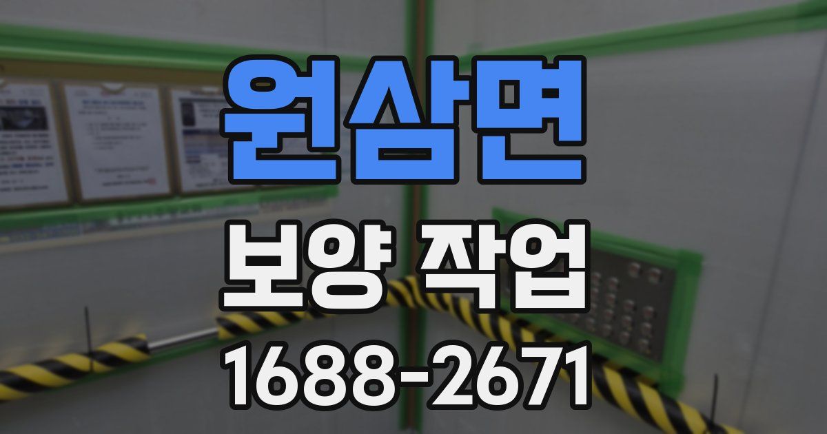 원삼면 보양 작업
