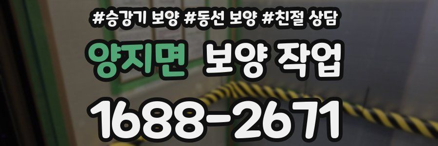 양지면 보양 작업