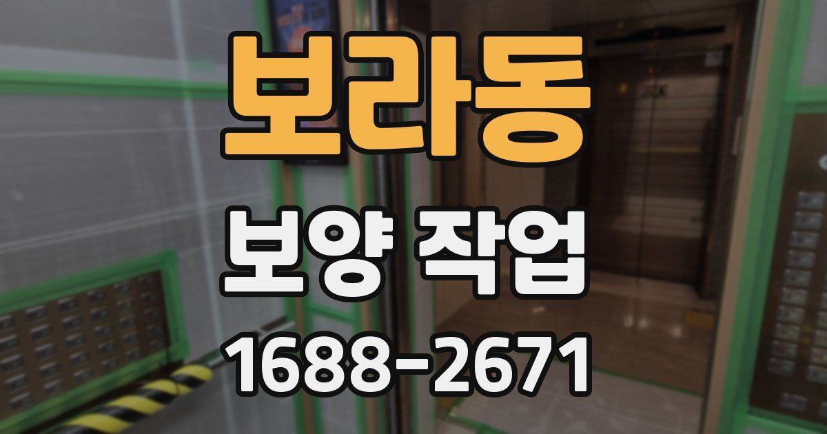 보라동 보양 작업