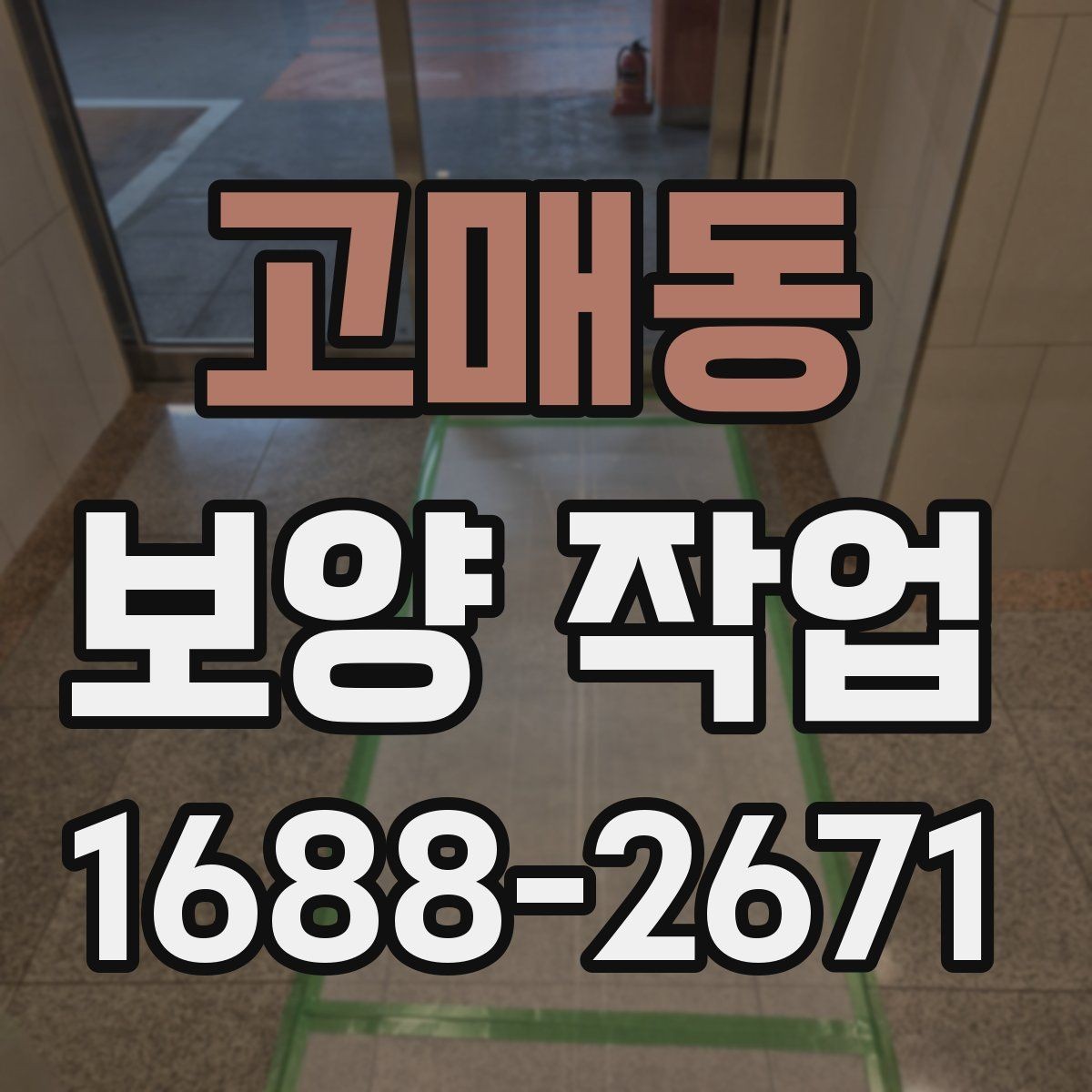 고매동 보양 작업 후 손상 방지를 위한 관리