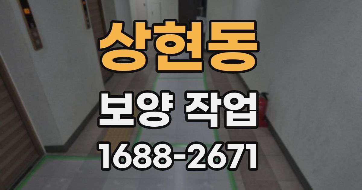 상현동 보양 작업