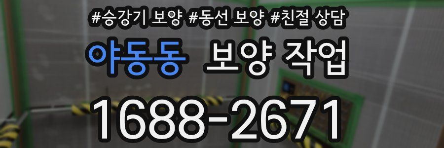 야동동 보양 작업