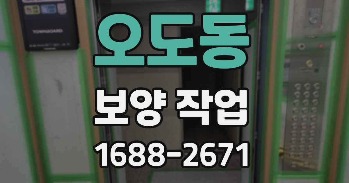 오도동 보양 작업