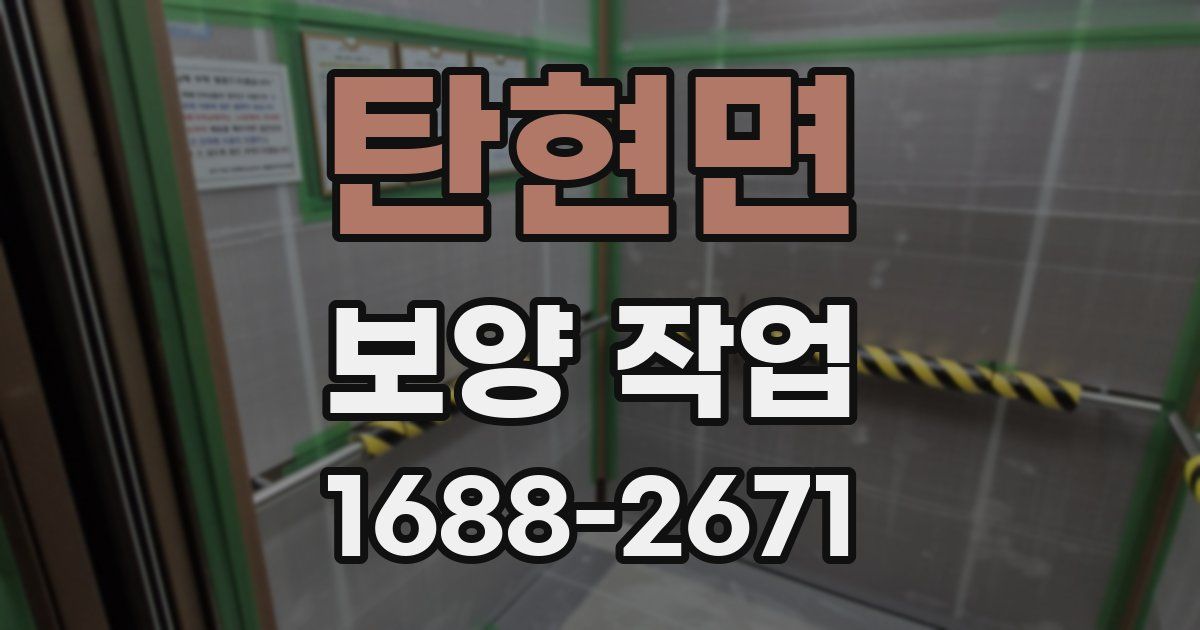 탄현면 보양 작업