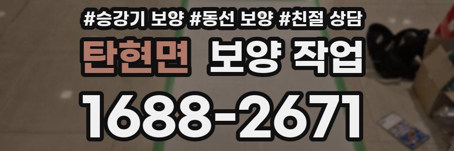 탄현면 보양 작업