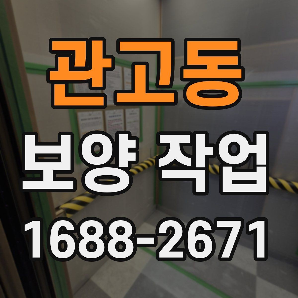 관고동 보양 작업 시공 전후 비교로 보는 변화