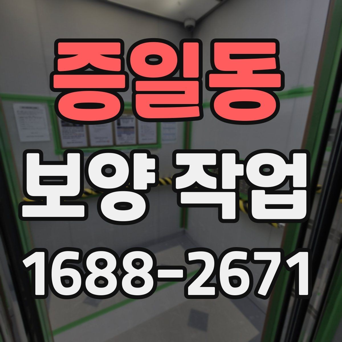 증일동 보양 작업 비교 시 자재와 방식의 차이