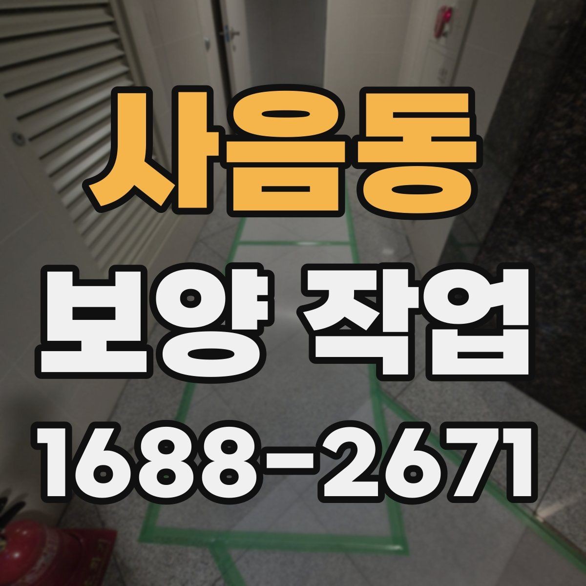 사음동 보양 작업 비용과 진행 전 확인할 점
