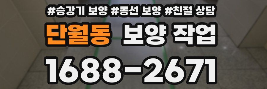 단월동 보양 작업