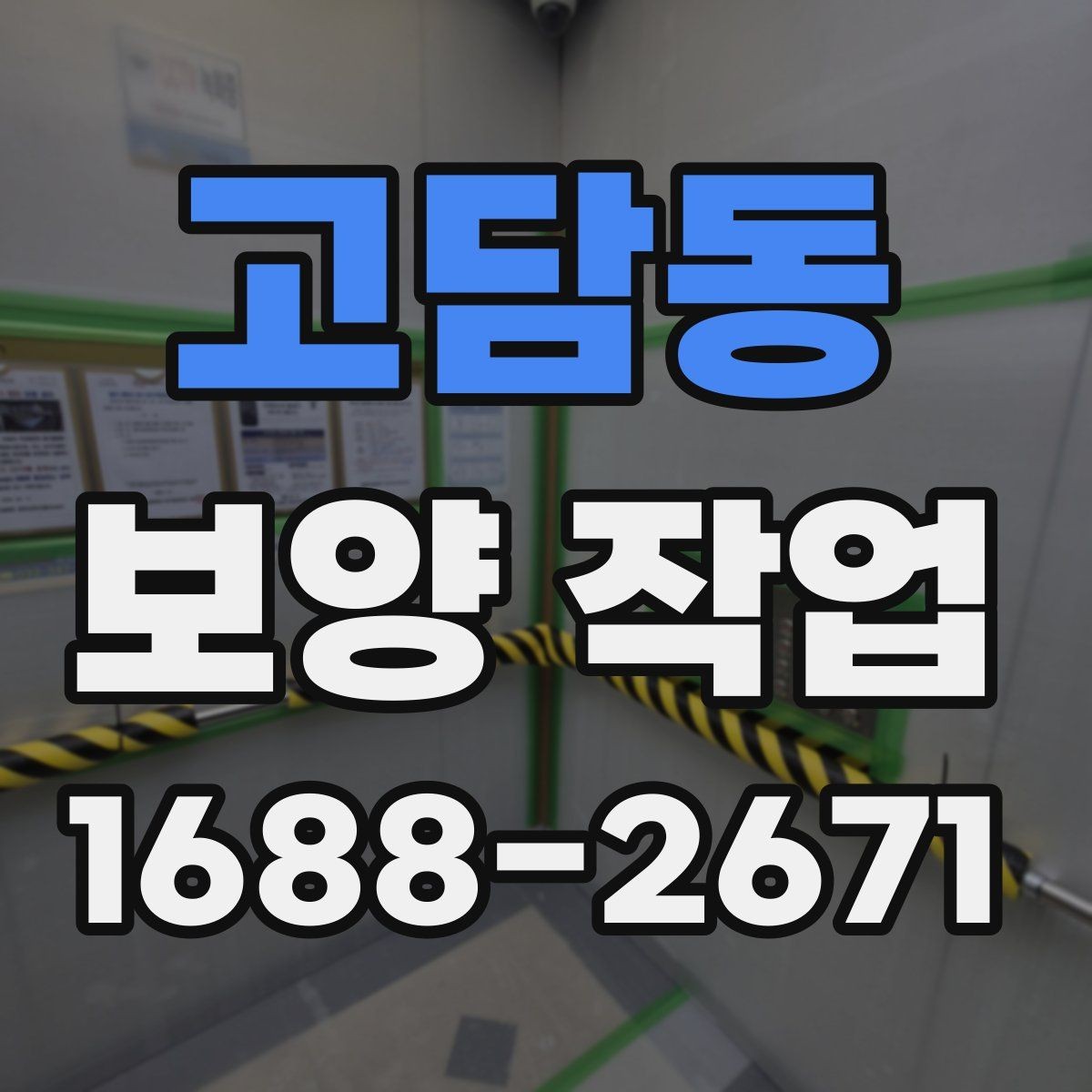 고담동 보양 작업 선택 기준과 비교 포인트