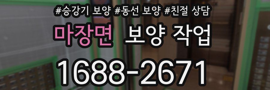 마장면 보양 작업