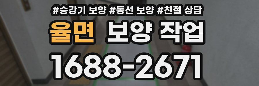 율면 보양 작업