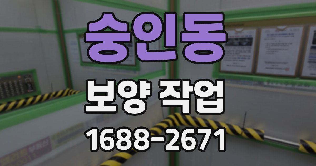 숭인동 보양 작업