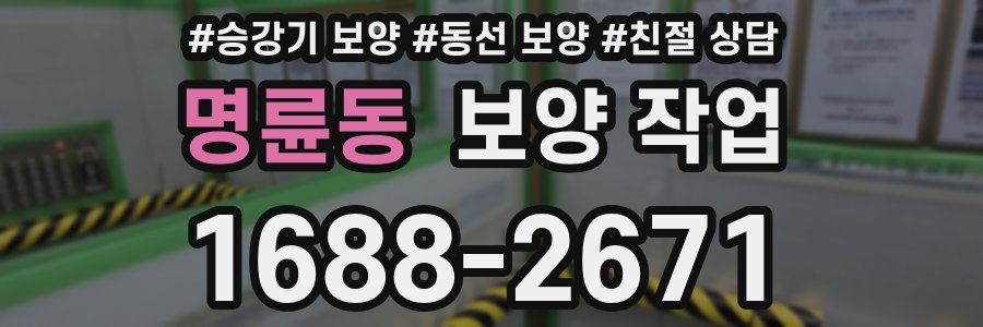 명륜동 보양 작업