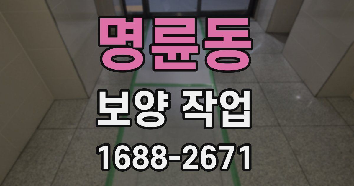 명륜동 보양 작업