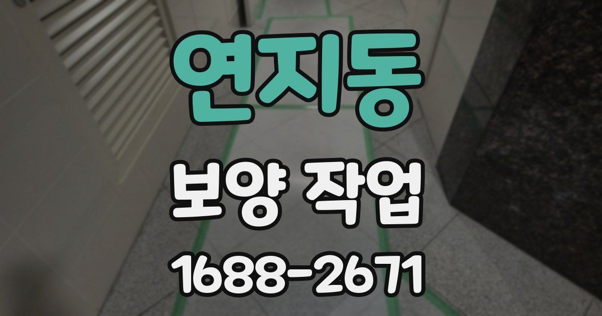 연지동 보양 작업