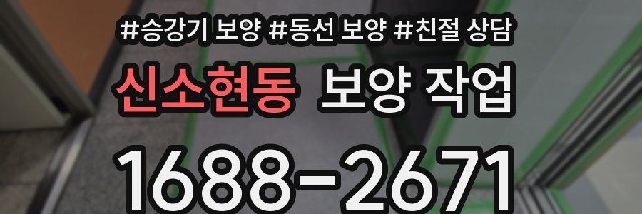 신소현동 보양 작업