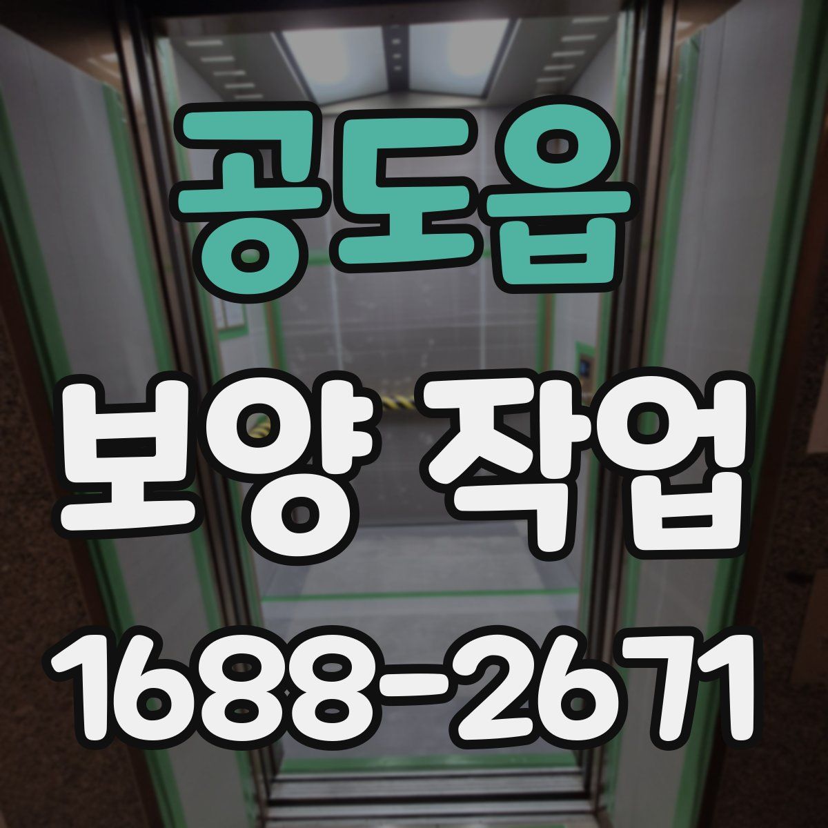 공도읍 보양 작업