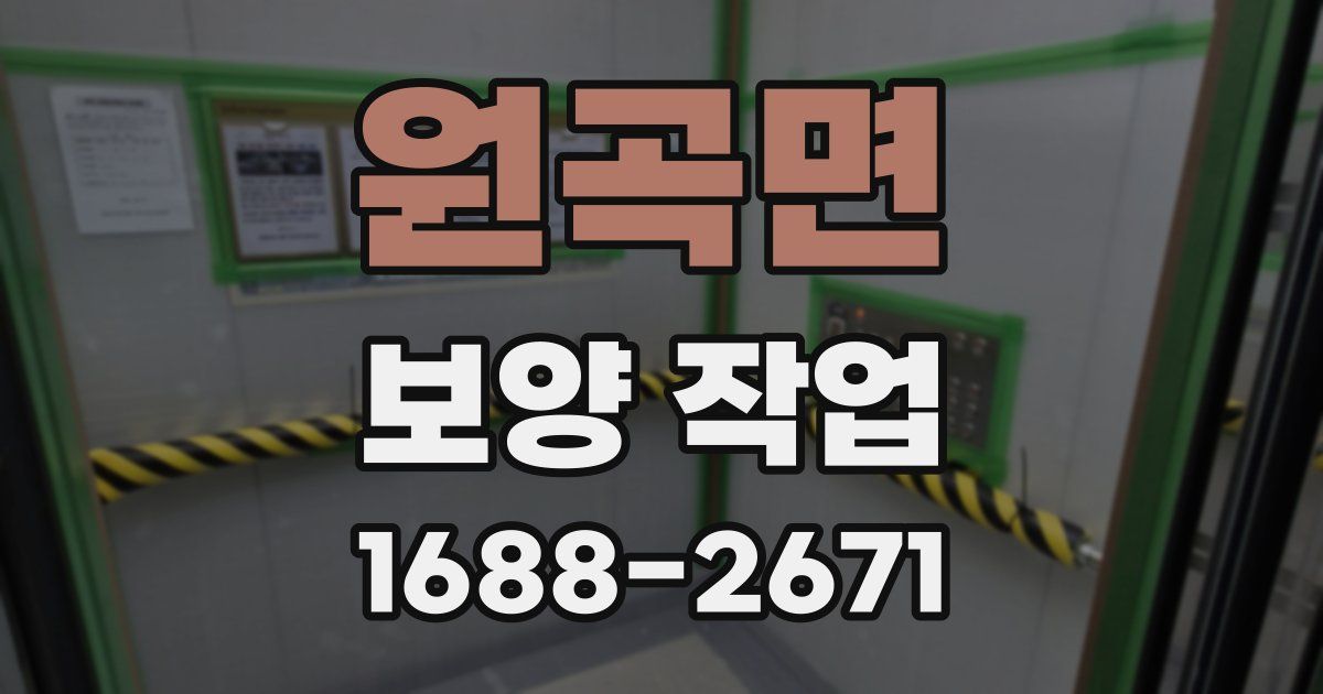 원곡면 보양 작업