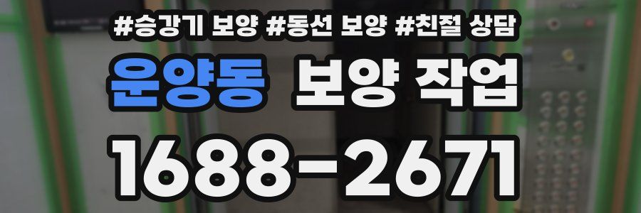 운양동 보양 작업