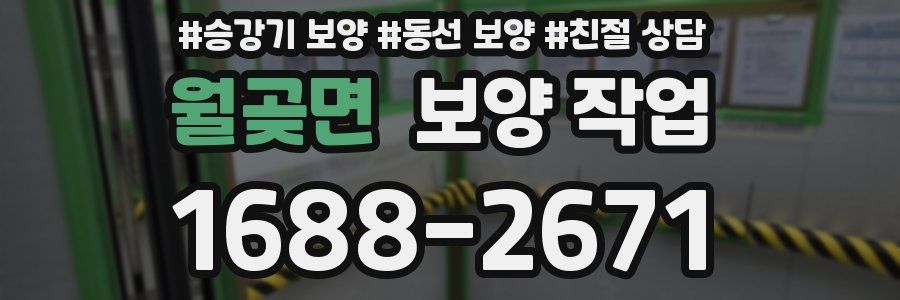 월곶면 보양 작업