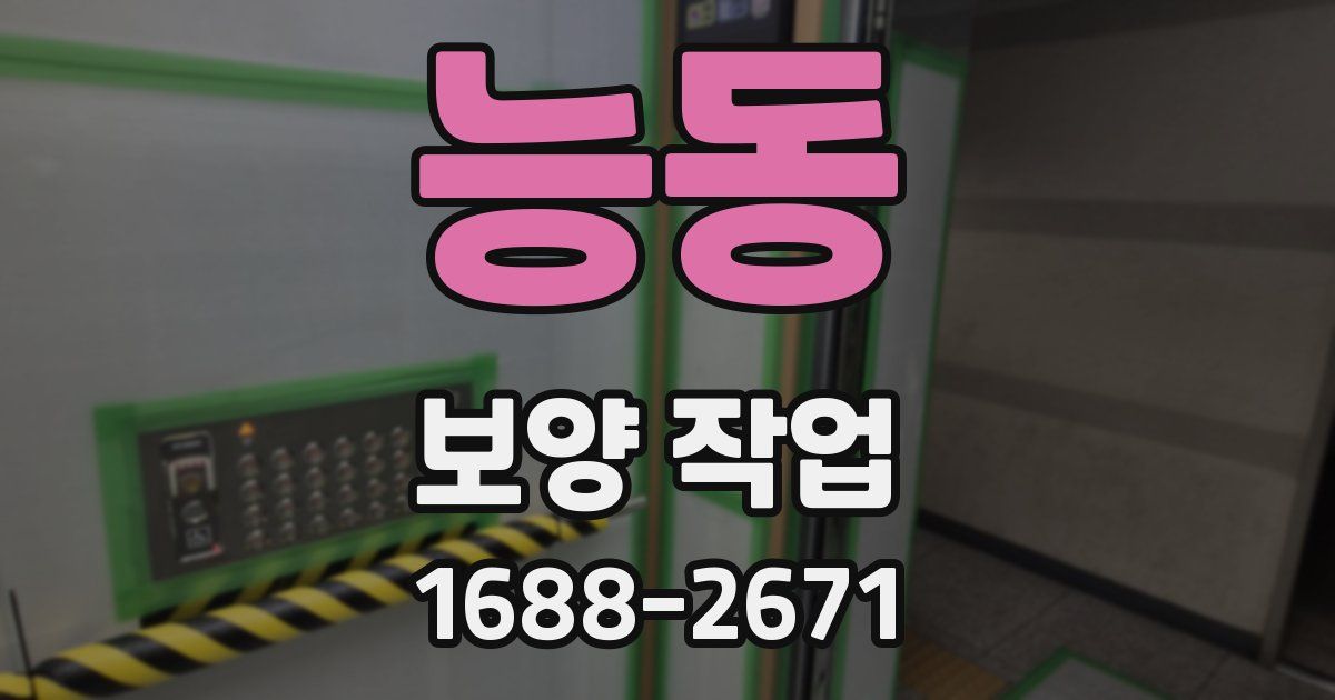 능동 보양 작업