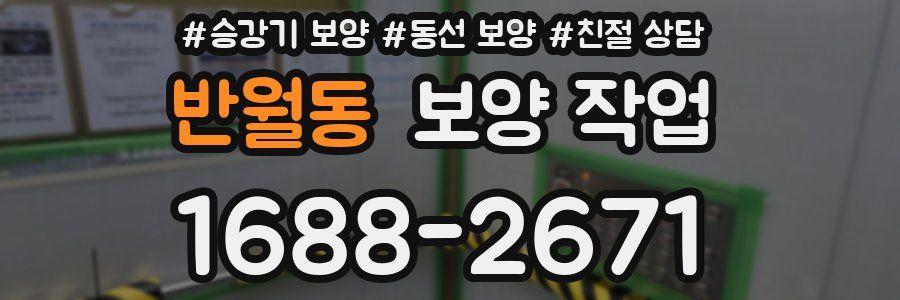 반월동 보양 작업