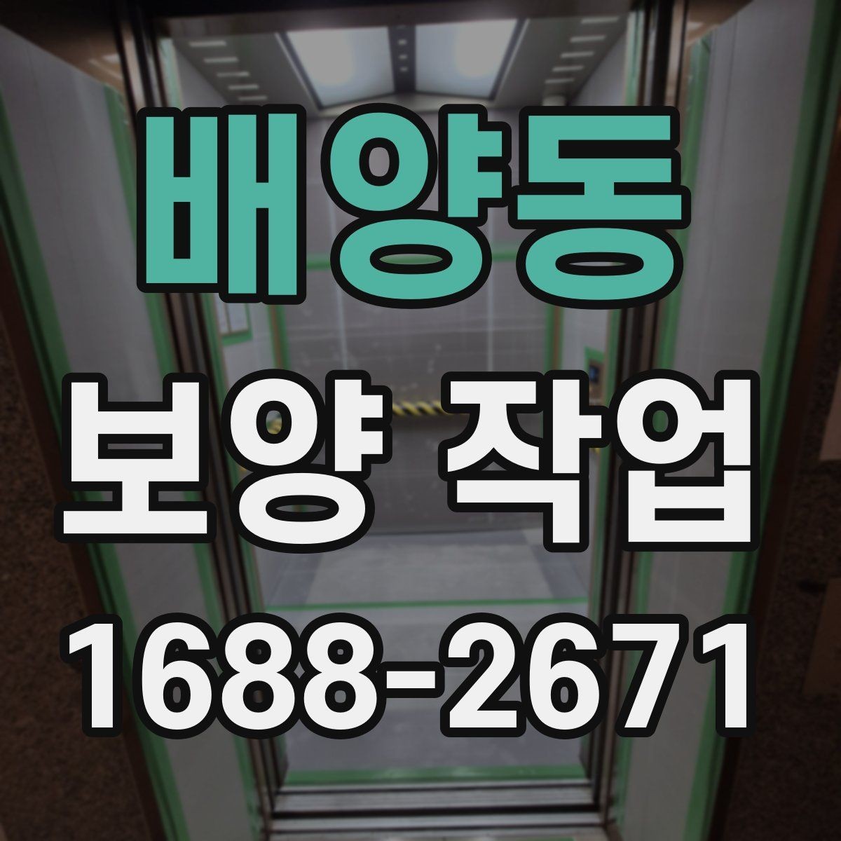 배양동 보양 작업 시 자주 놓치는 주의사항