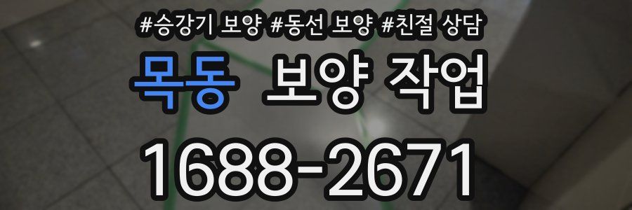 목동 보양 작업