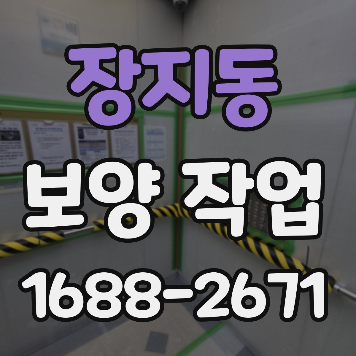 장지동 보양 작업