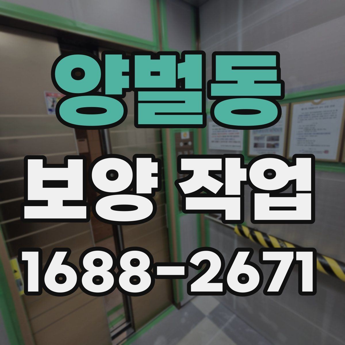 양벌동 보양 작업 후 관리가 필요한 이유