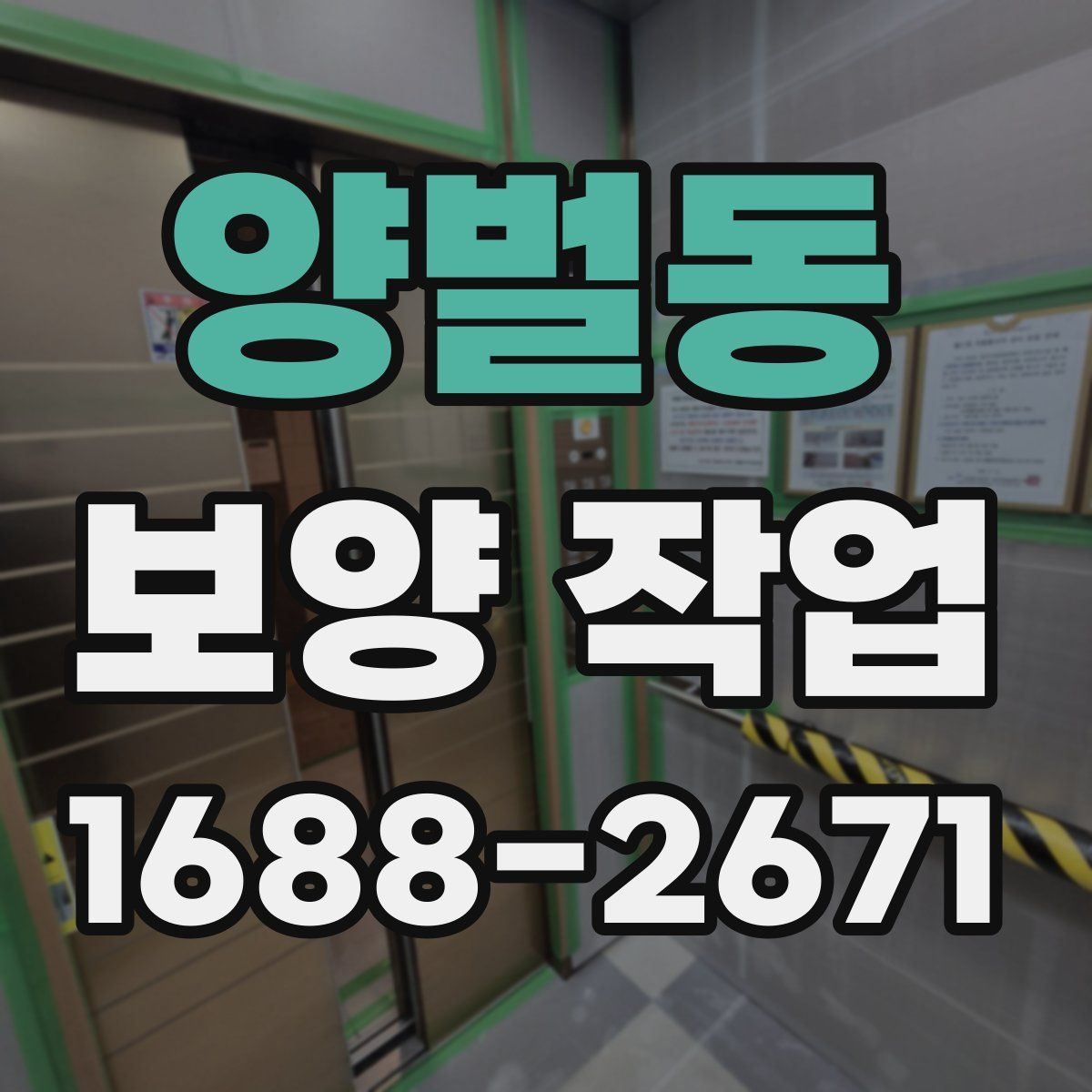 양벌동 보양 작업