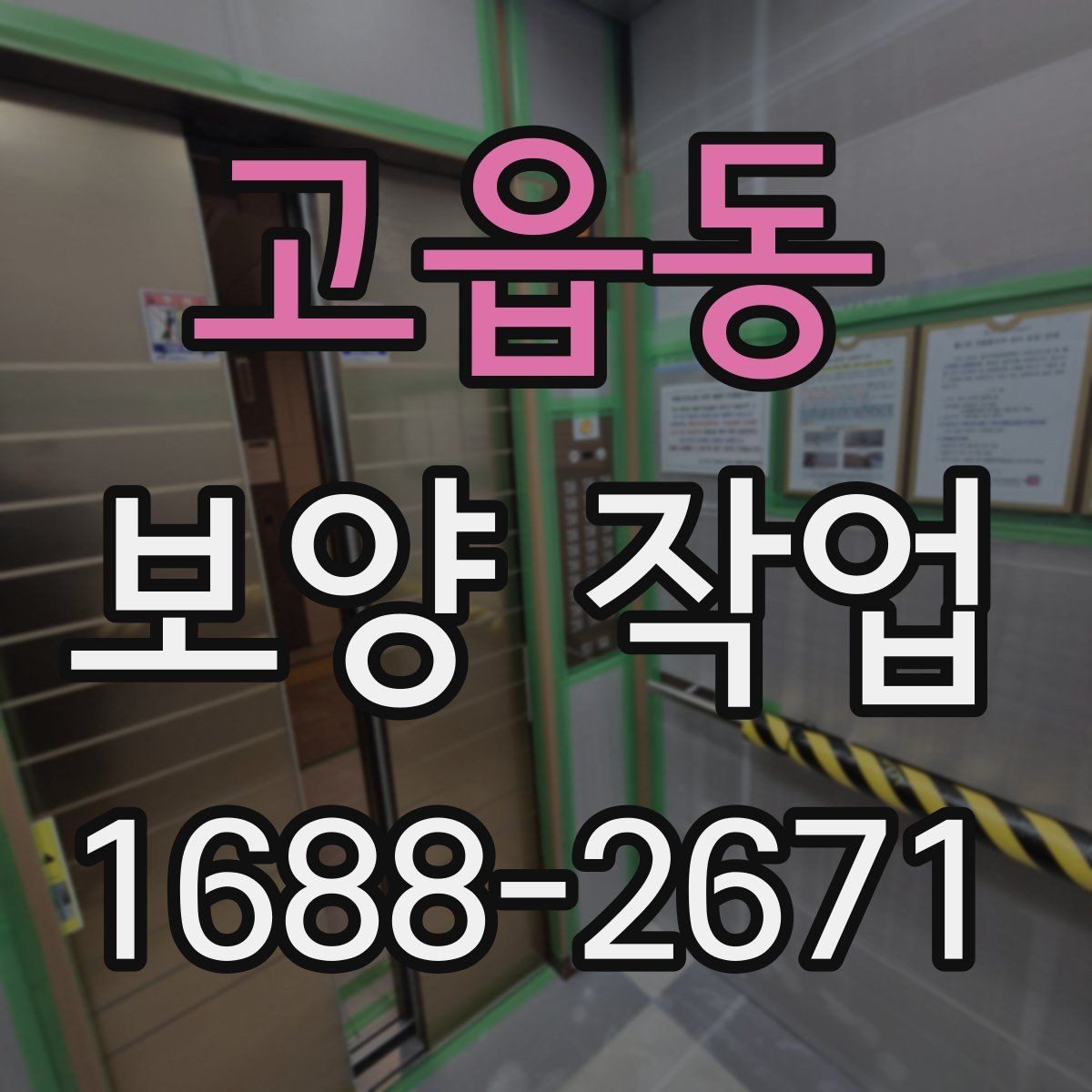 고읍동 보양 작업 전후 차이와 현장 체크포인트