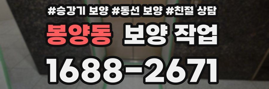 봉양동 보양 작업