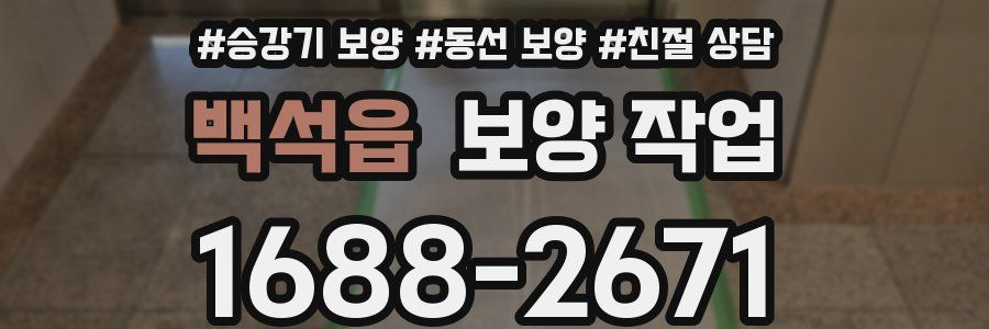 백석읍 보양 작업