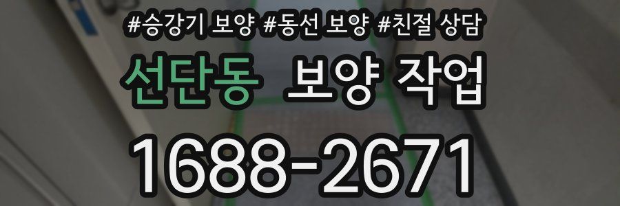 선단동 보양 작업