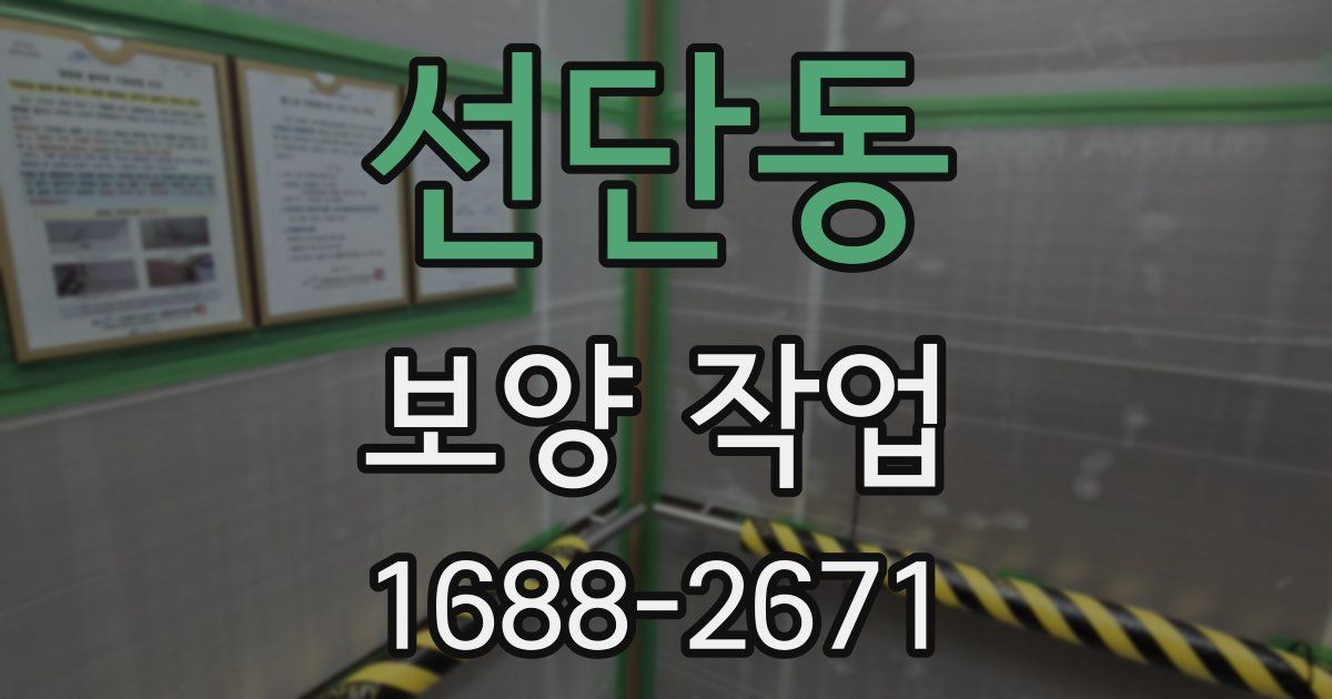 선단동 보양 작업