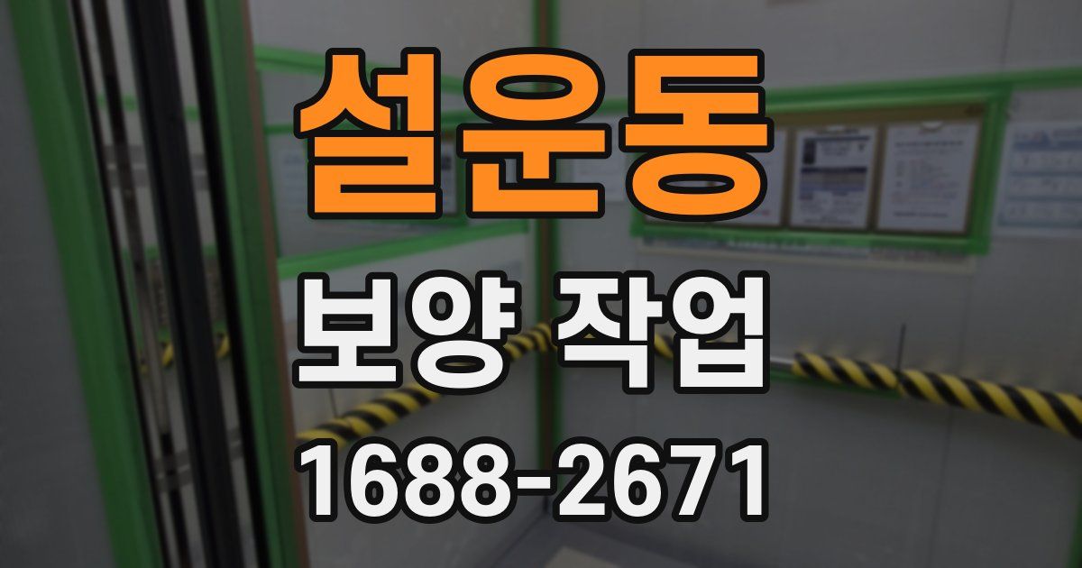 설운동 보양 작업
