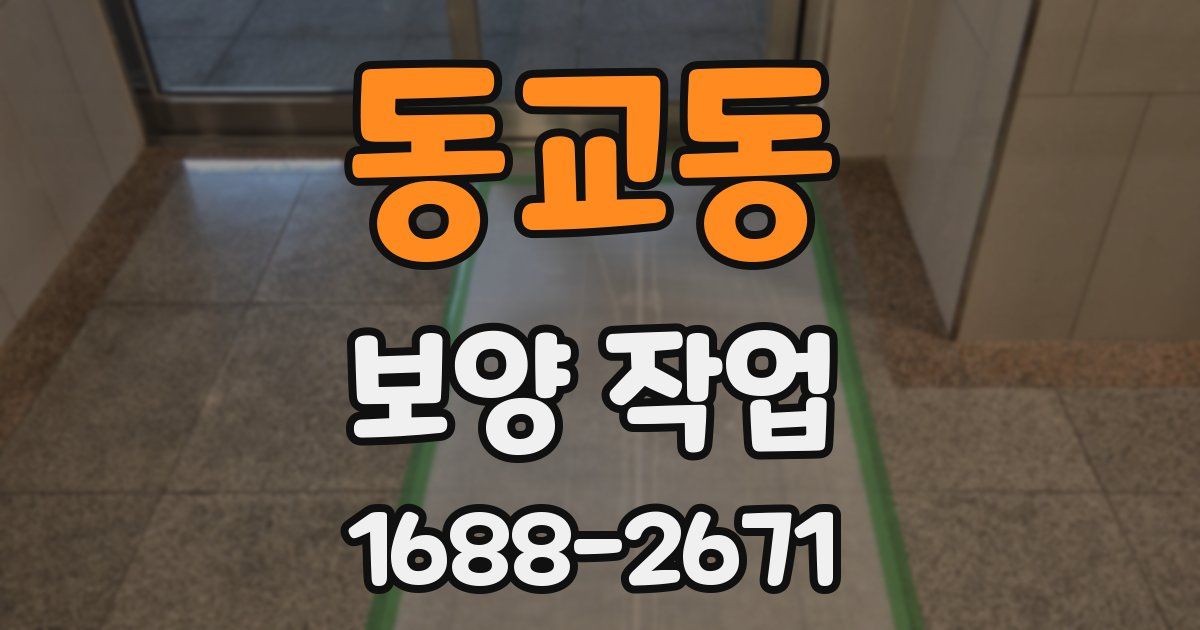 동교동 보양 작업