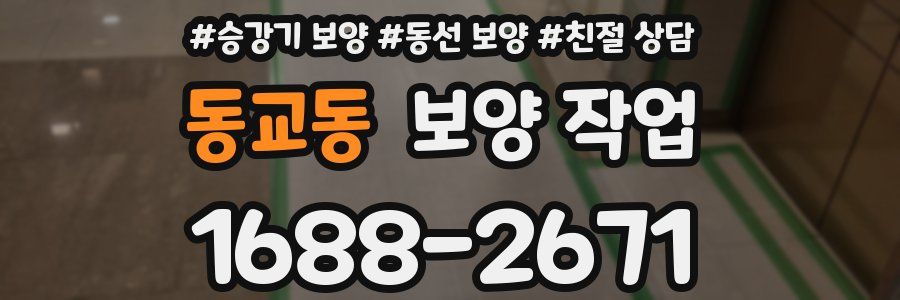 동교동 보양 작업