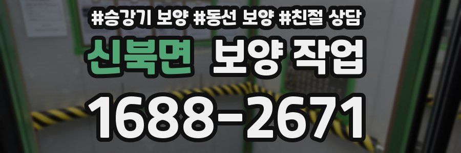 신북면 보양 작업