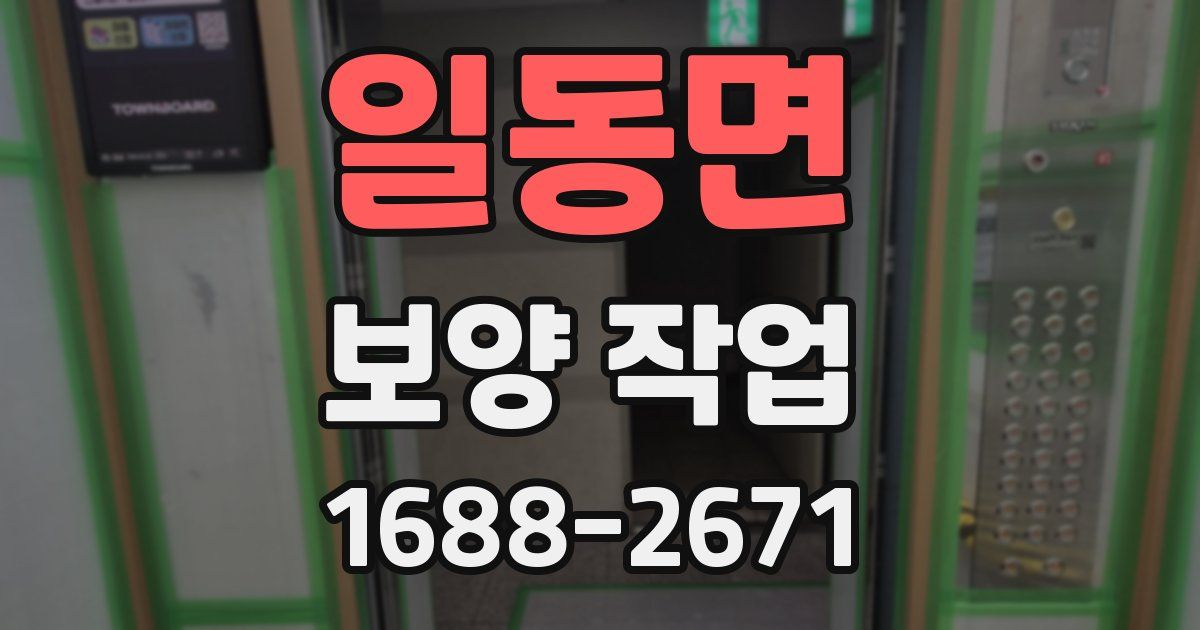 일동면 보양 작업