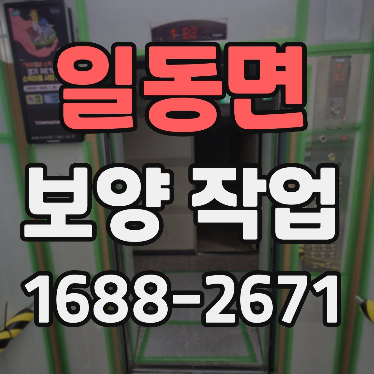 일동면 보양 작업