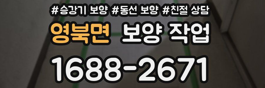 영북면 보양 작업