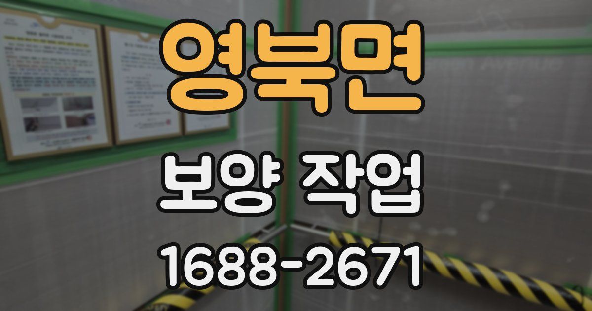 영북면 보양 작업