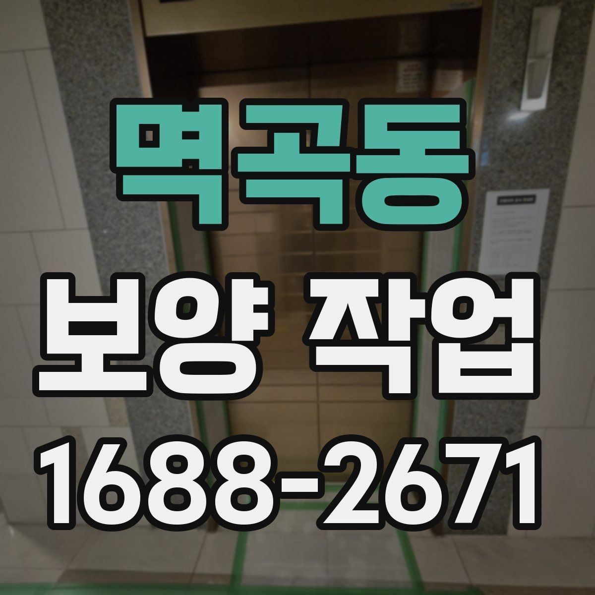 멱곡동 보양 작업 범위는 어디까지 포함될까