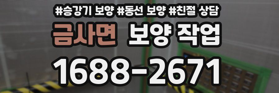 금사면 보양 작업