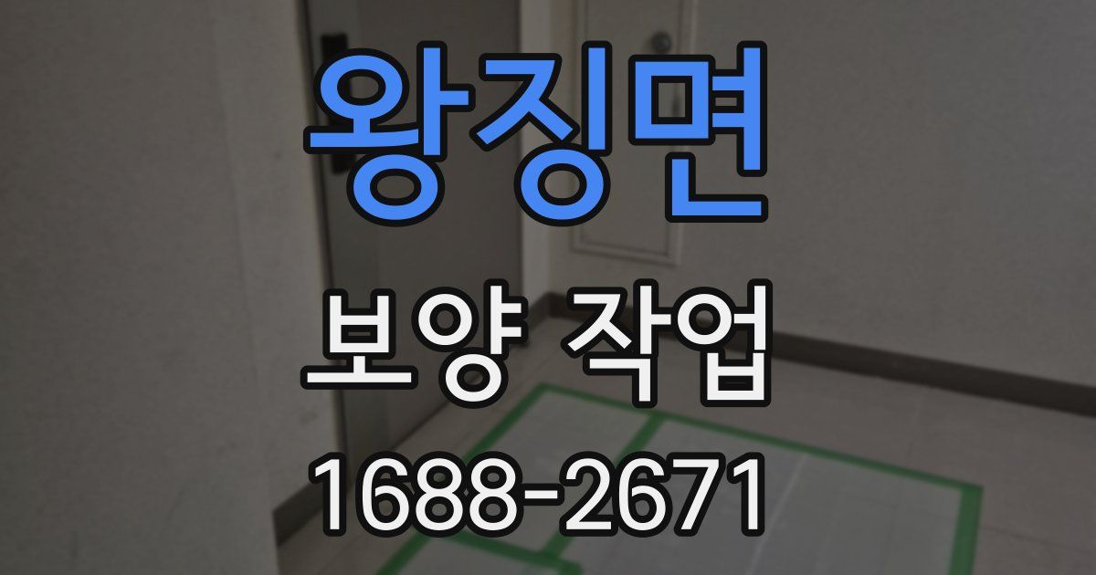 왕징면 보양 작업