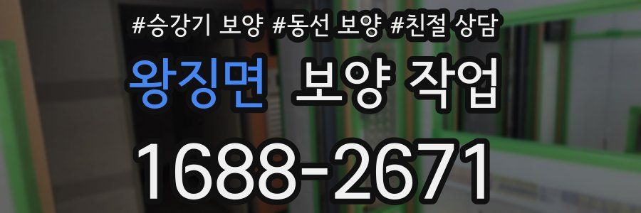왕징면 보양 작업