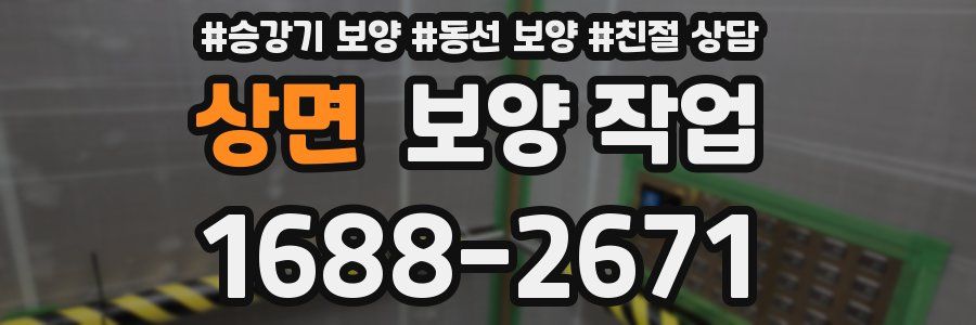상면 보양 작업